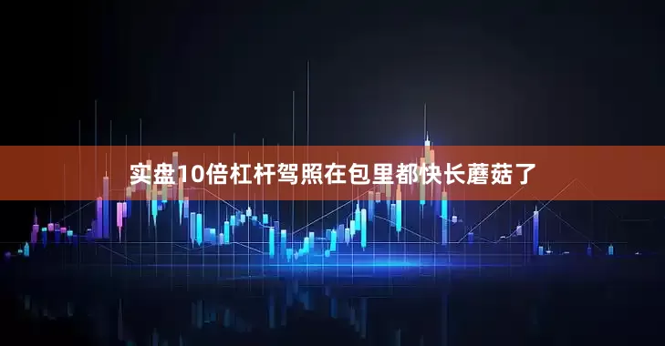 实盘10倍杠杆驾照在包里都快长蘑菇了