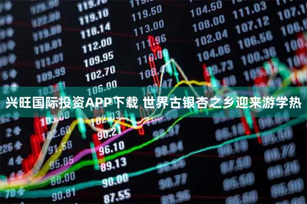 兴旺国际投资APP下载 世界古银杏之乡迎来游学热