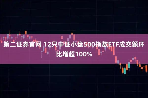 第二证券官网 12只中证小盘500指数ETF成交额环比增超100%